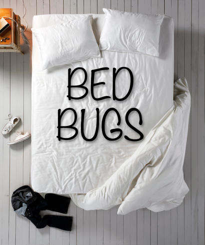 Bed Bug Awareness