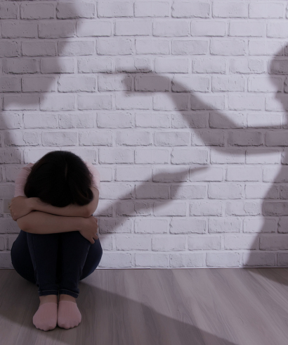 La Verdad Sobre Violencia Domestica